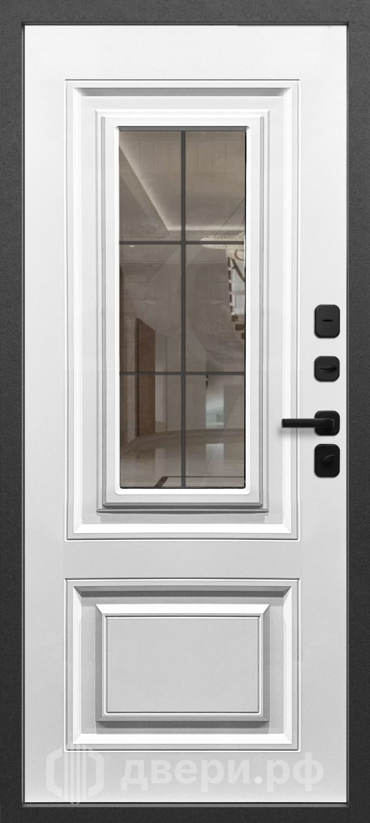 фото: Входная дверь Termo Vetro