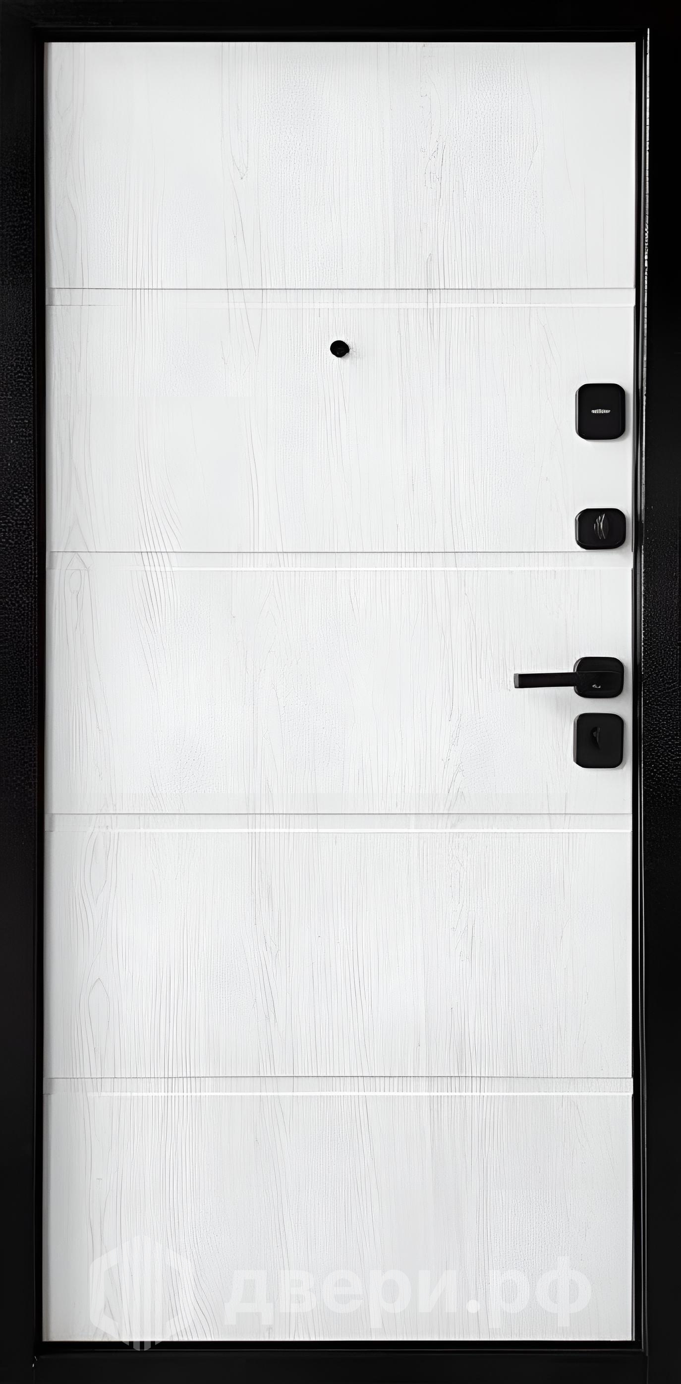 фото: Входная дверь TD 8-2