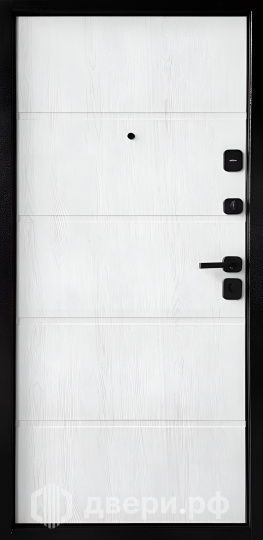 фото: Входная дверь TD 8-2