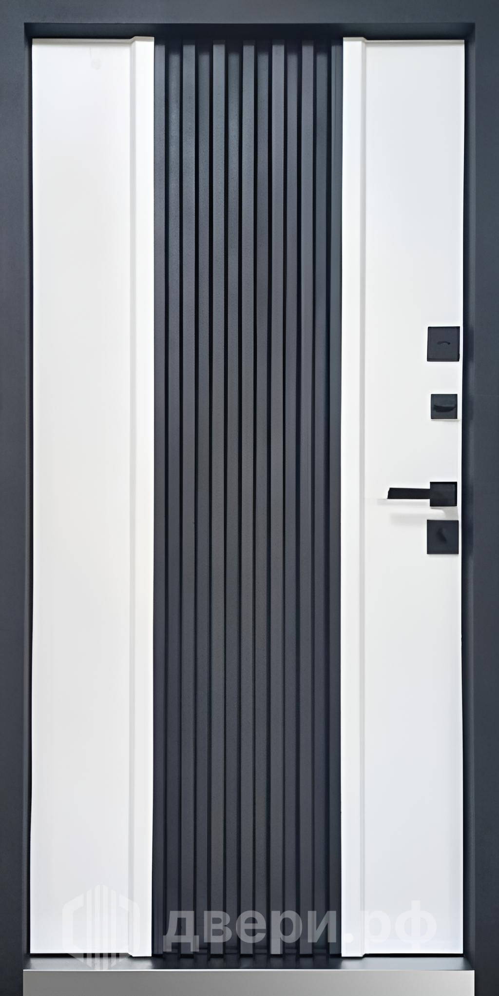 фото: Входная дверь Коттедж 269