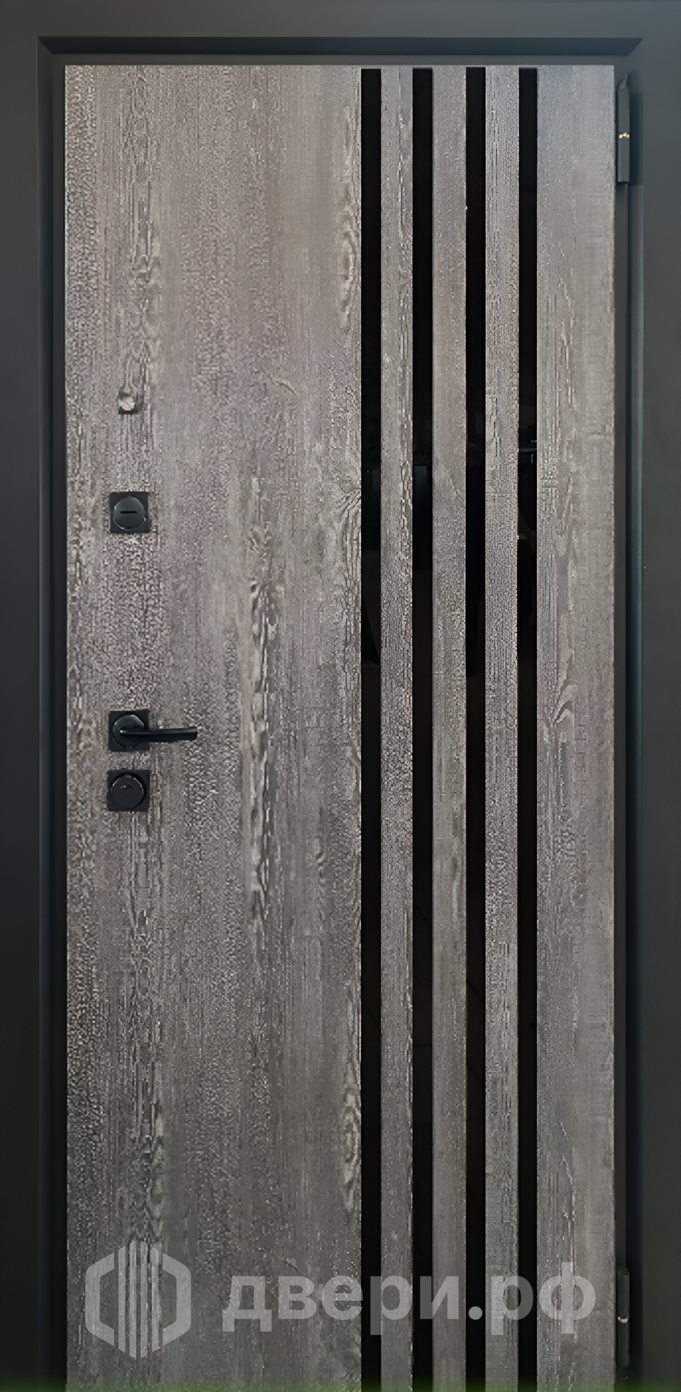 фото: Входная дверь Биг Сити 285 Д