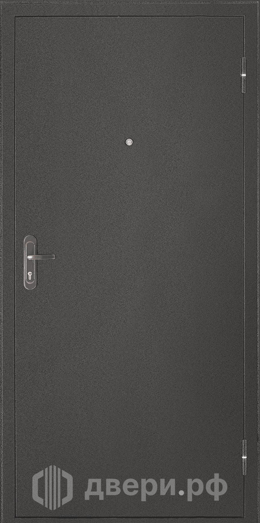 фото: Входная дверь TD 5-1