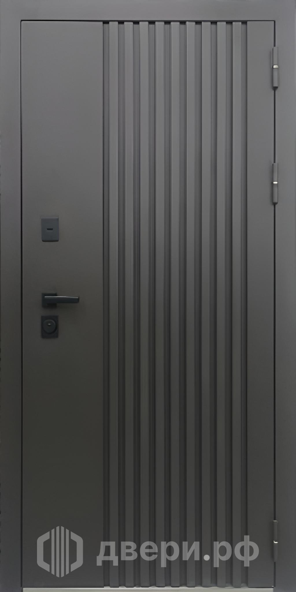 фото: Входная дверь Рейн Термо