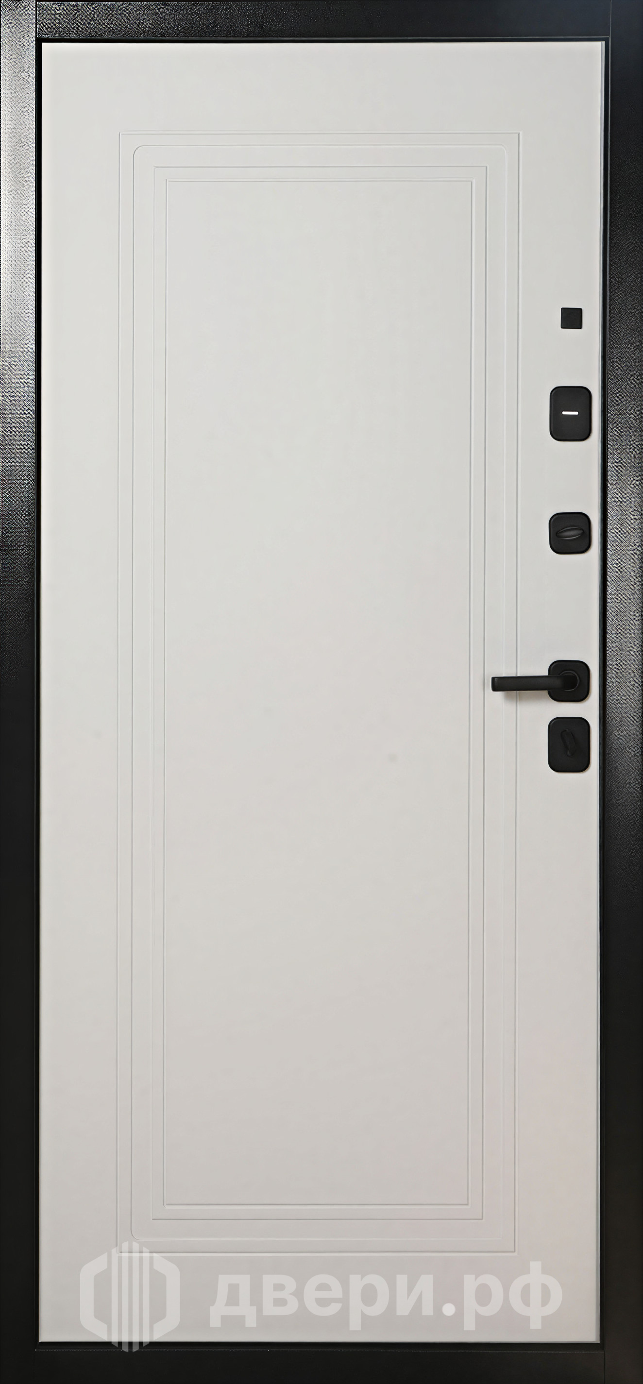 фото: Входная дверь TD 10-1