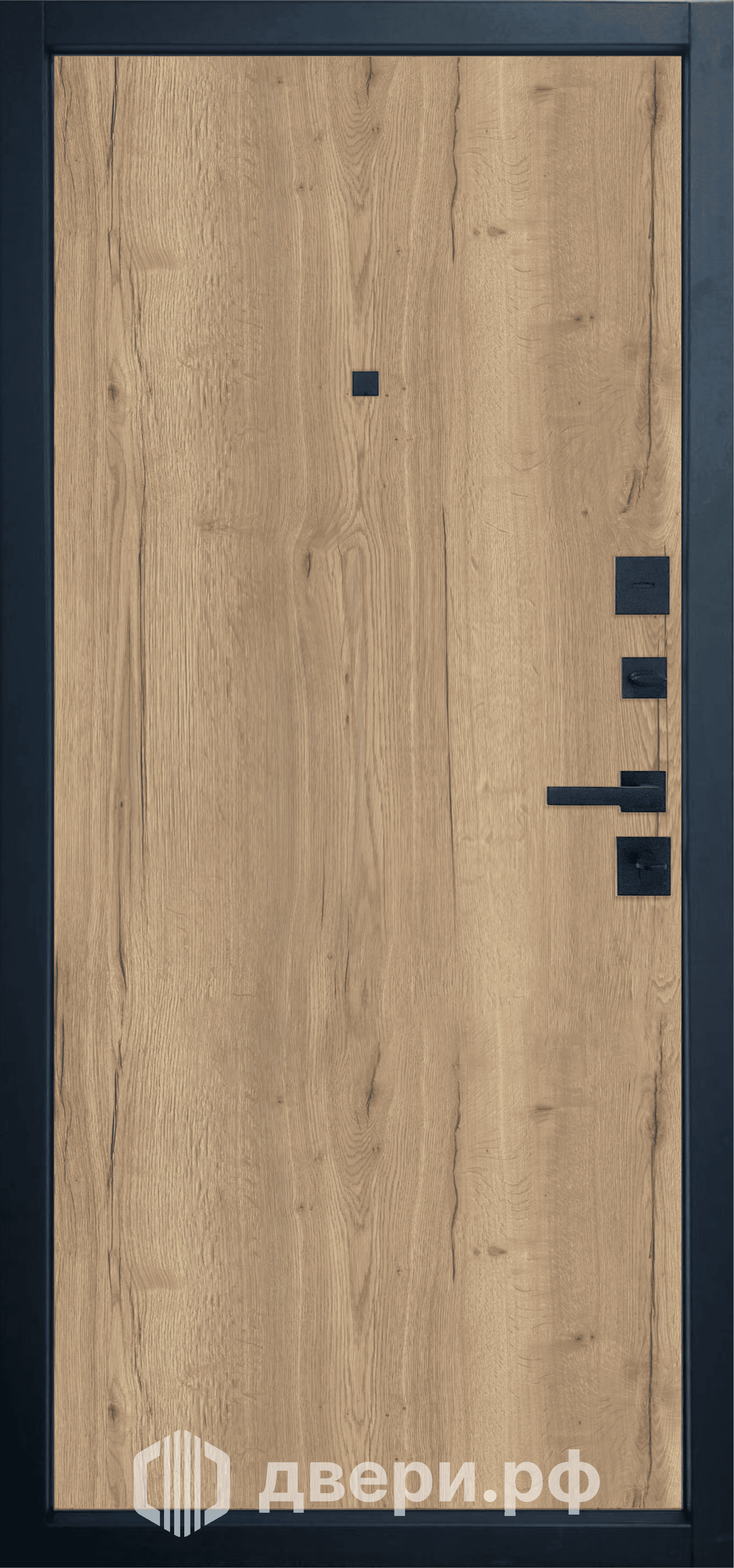 фото: Входная дверь Expert LT