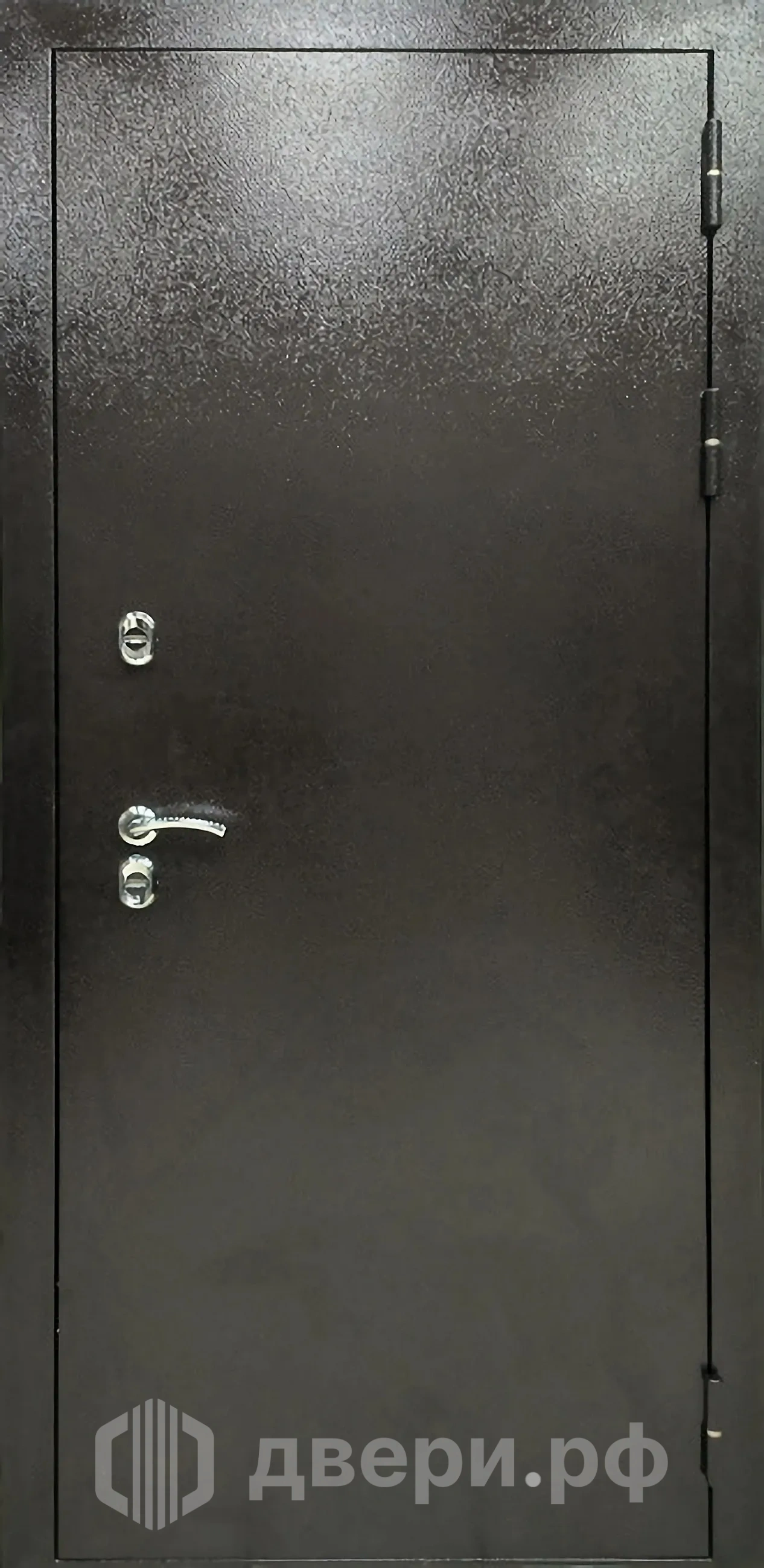 фото: Входная дверь Термо ТР1-К8