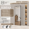 фото:  Межкомнатная дверь Invisible Секрет рефлекс (Зеркало с двух сторон) №1