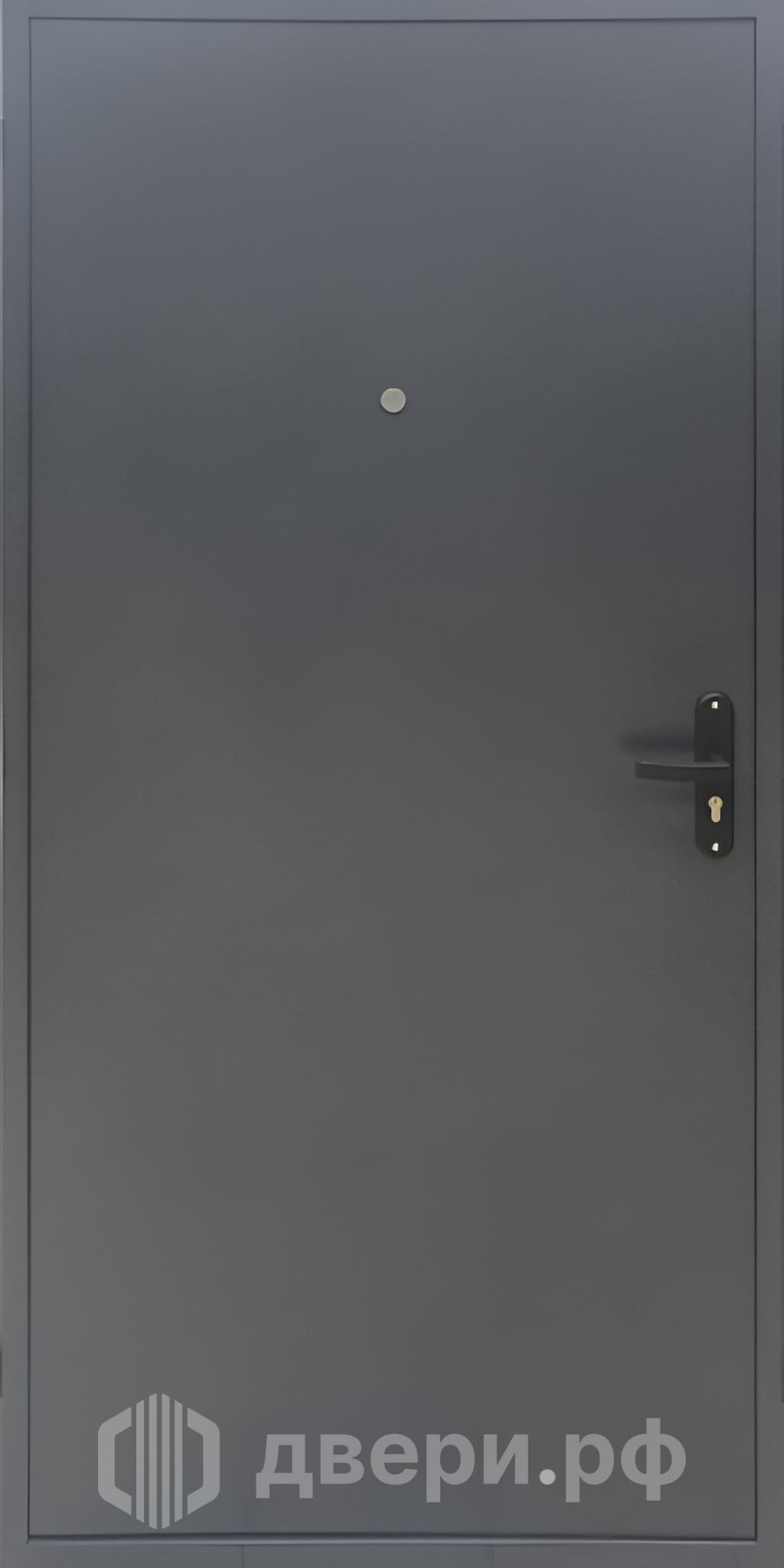 фото: Входная дверь Профи-2036