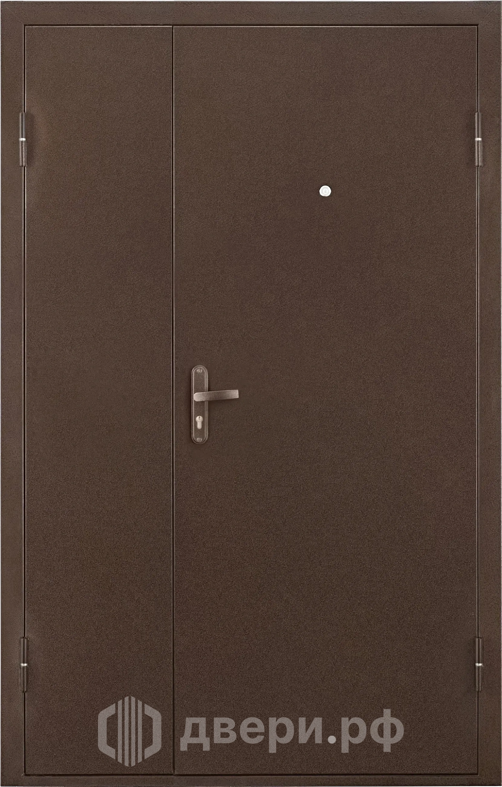 фото: Входная дверь Профи DL