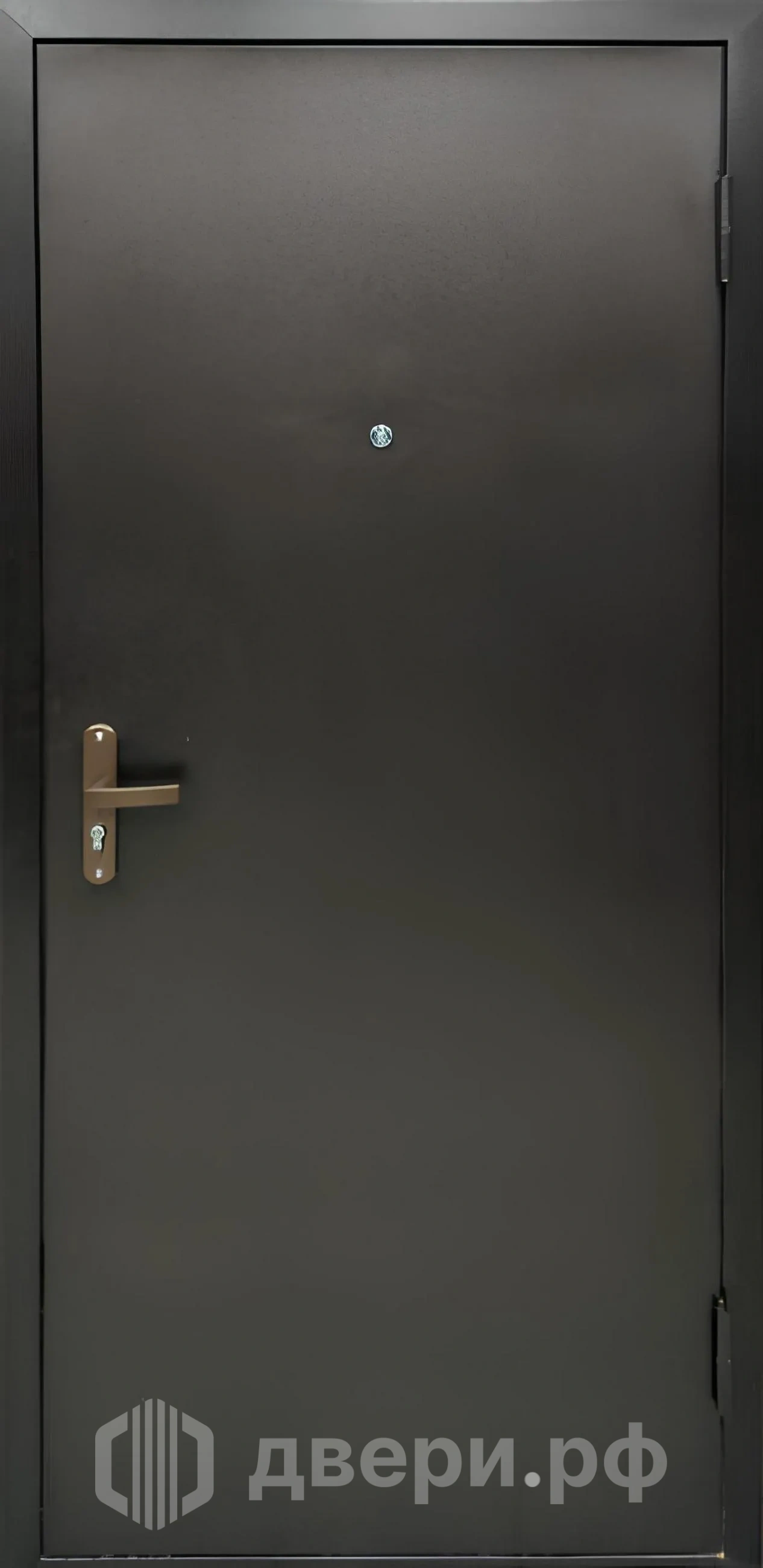 фото: Входная дверь Профи-2036