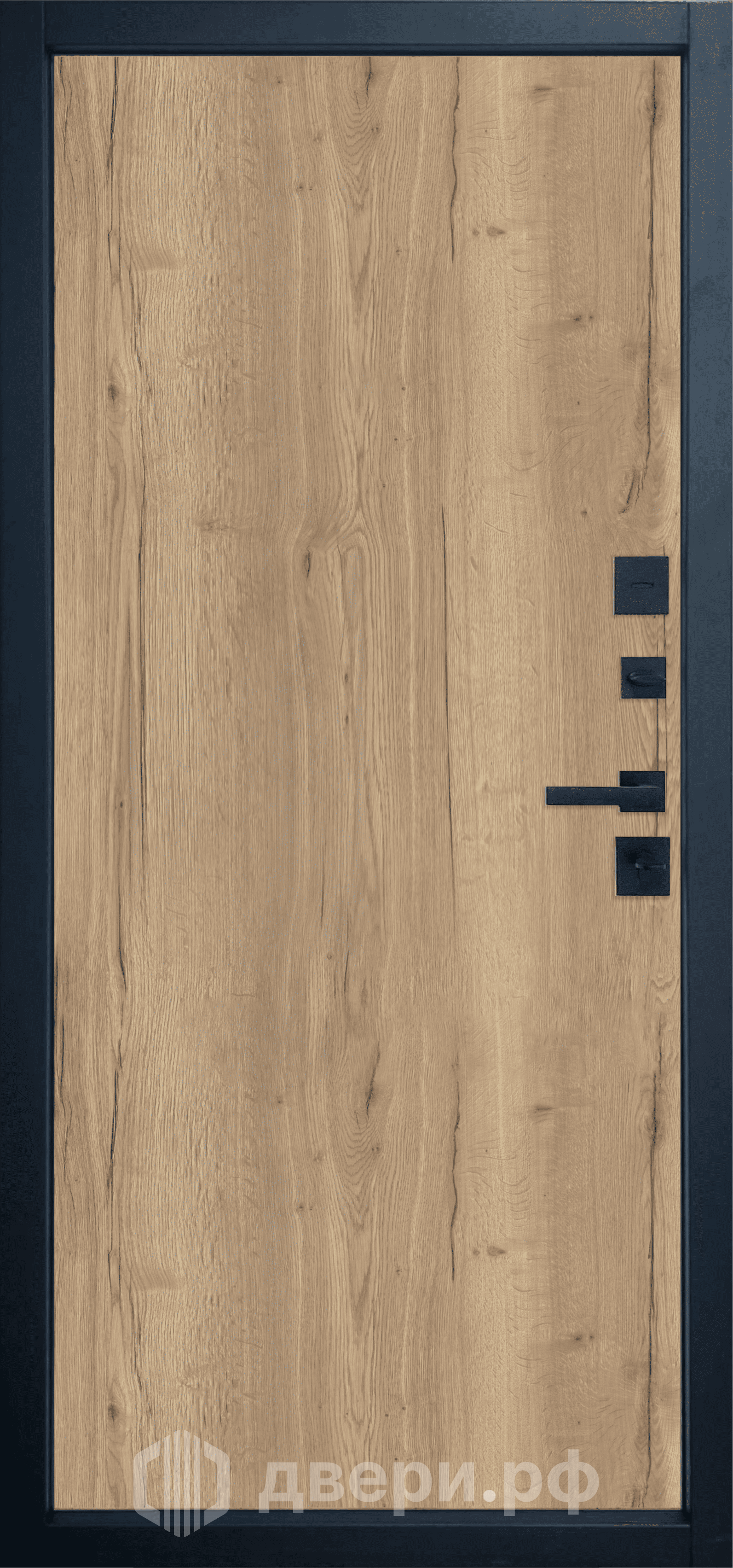 фото: Входная дверь Termo Strong 1