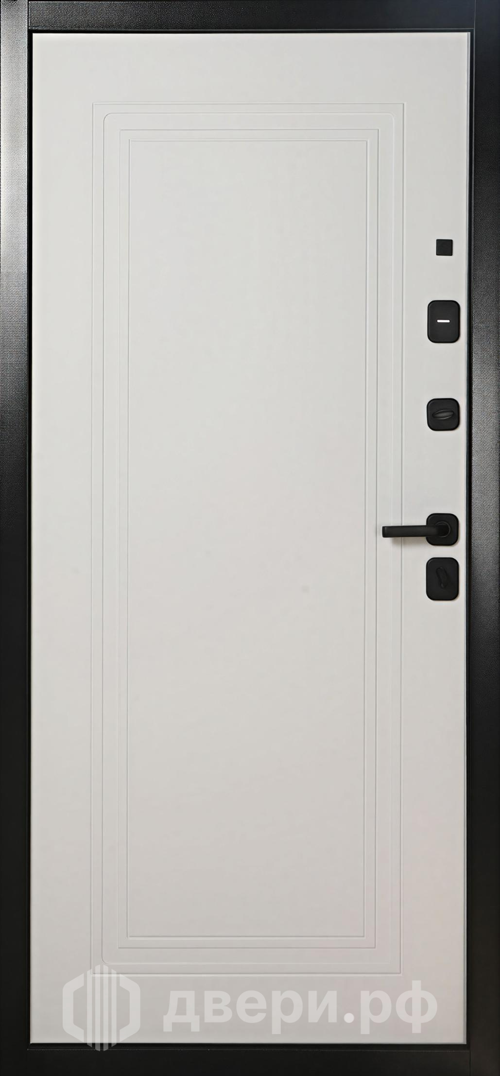 фото: Входная дверь ТД 10-1