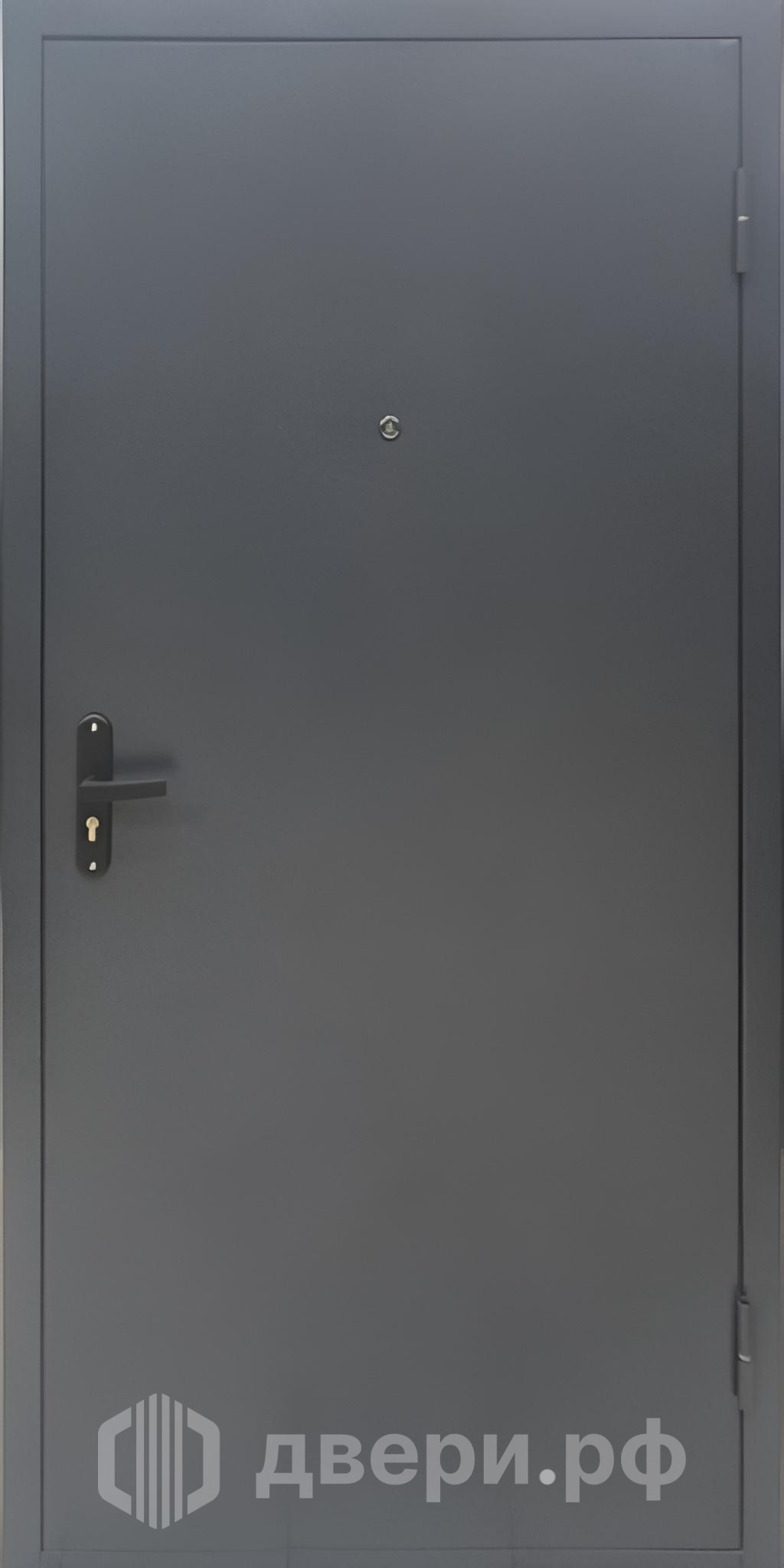 фото: Входная дверь Профи-2036