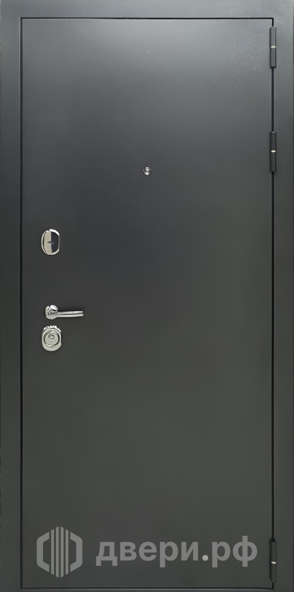 фото: Входная дверь Карина