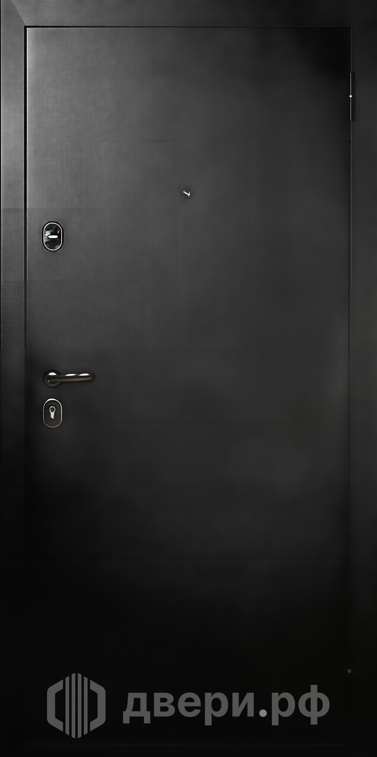 фото: Входная дверь TD 7-2