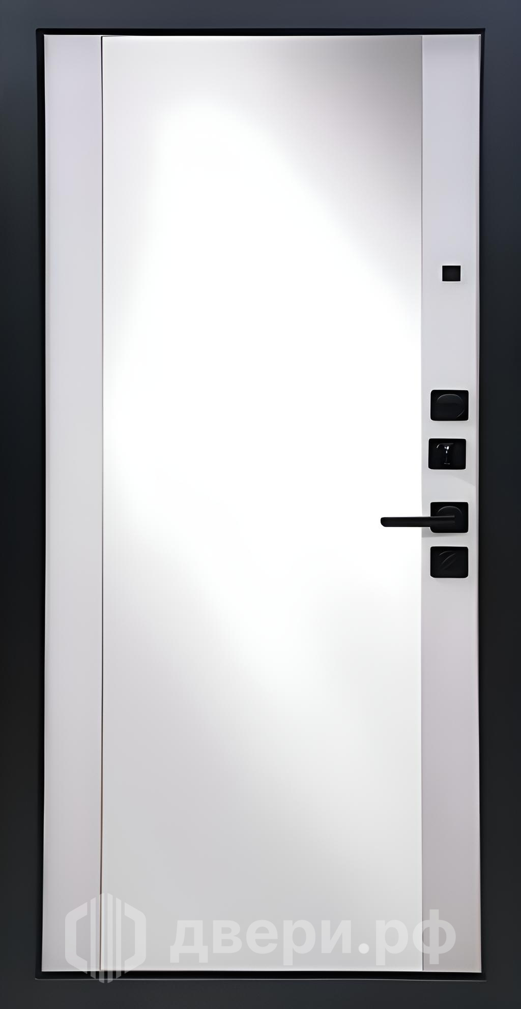 фото: Входная дверь Пиано Зеркало