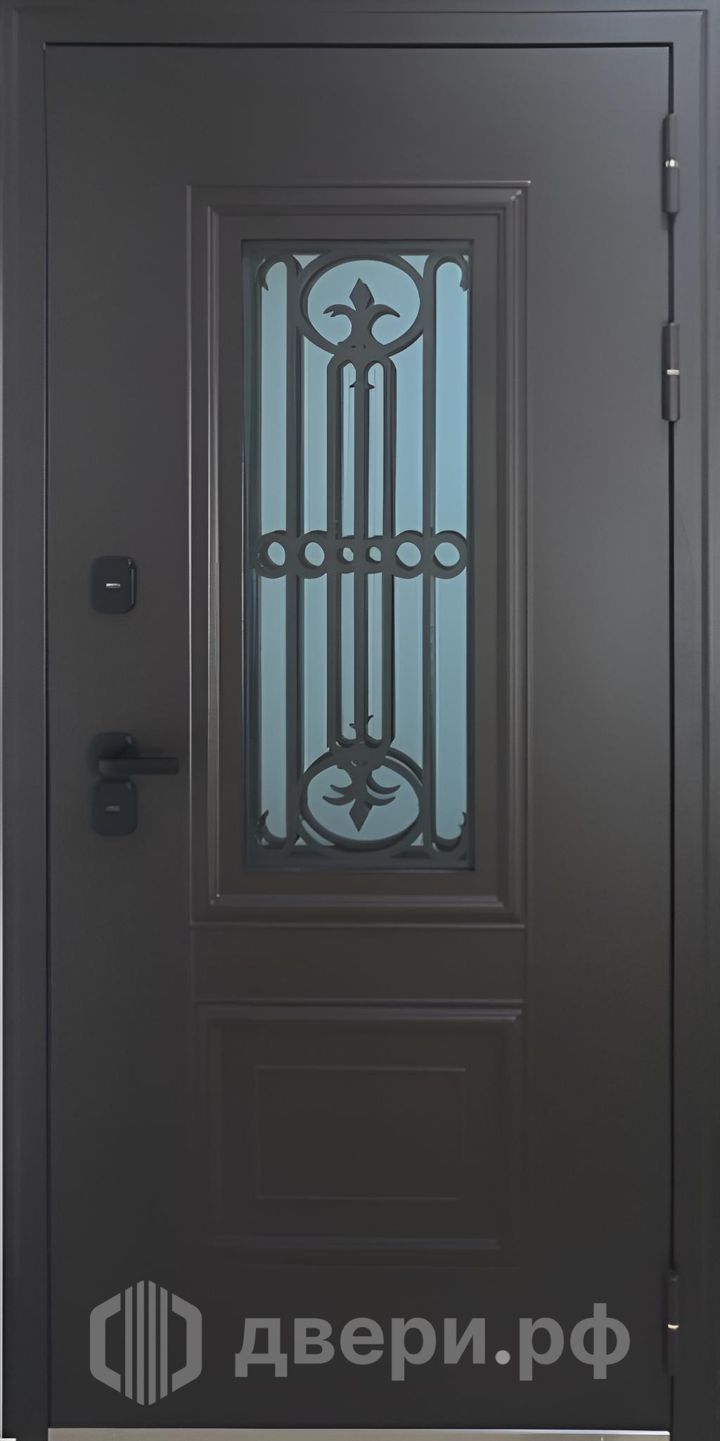 фото: Входная дверь Герцог