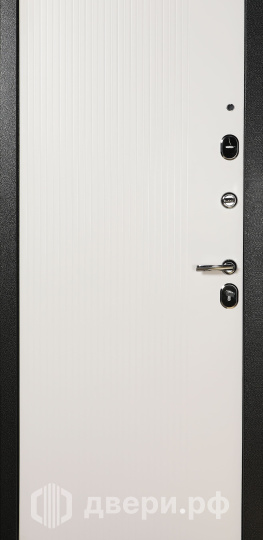 фото: Входная дверь TD 9-1