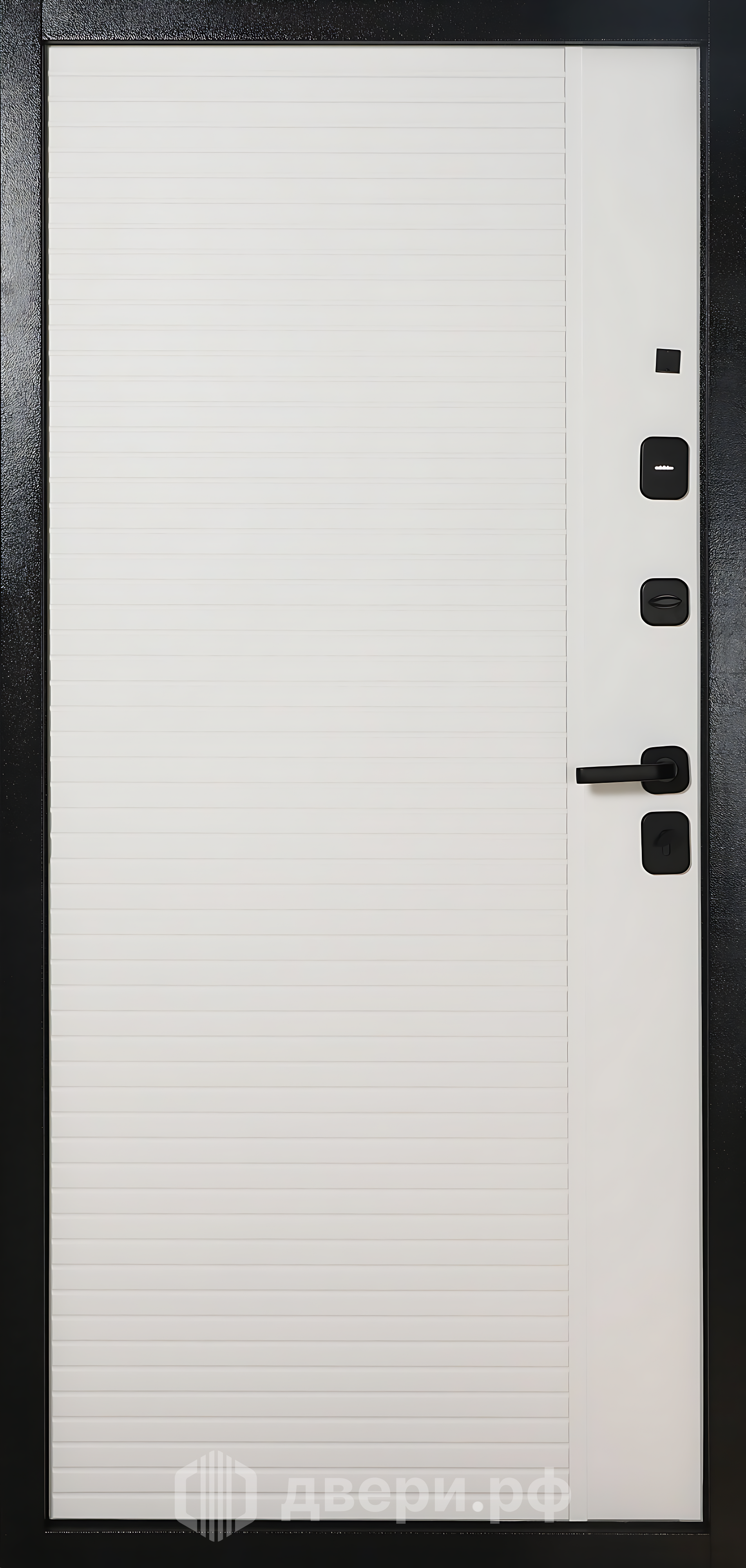 фото: Входная дверь TD 10-2