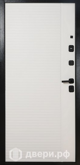 фото: Входная дверь TD 10-2