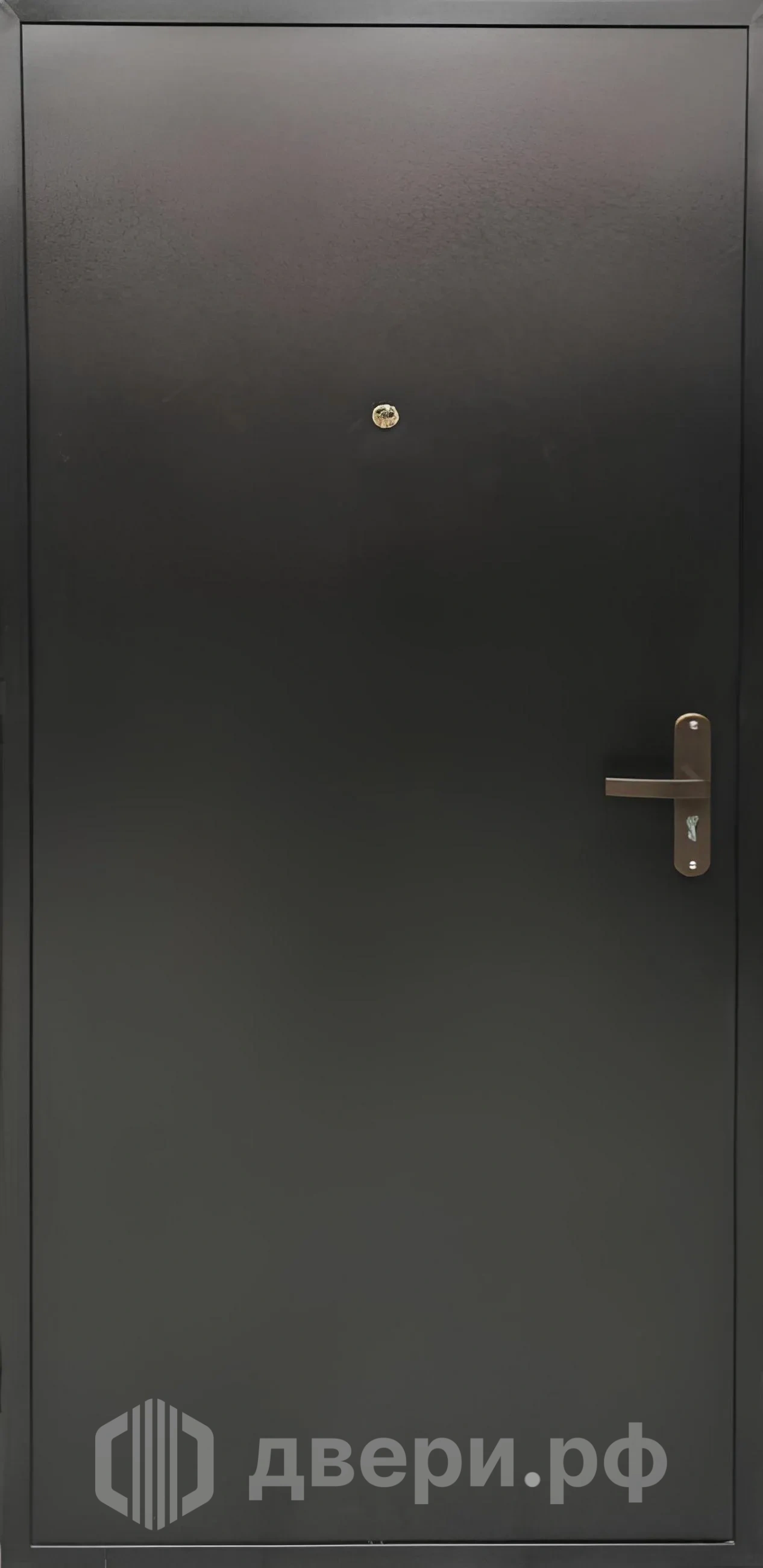 фото: Входная дверь Профи-2036